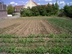 IMG01156-20160519-1513.jpg
