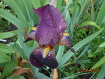 DSCN2913.JPG