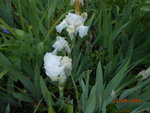DSCN2912.JPG