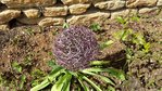 20160517_160830.jpeg