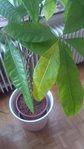 IMG_20160519_200518.jpg