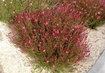 img01.jpg