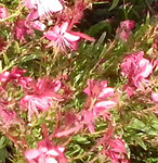 img02.jpg
