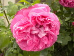 DSCN6794.JPG