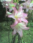 DSC00003.JPG