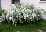 IMG_1160.JPG