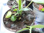 20160526_104528b.jpg
