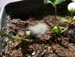 20160526_104554.JPG