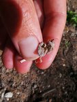 20160526_104650.JPG