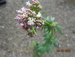 DSCN3002.JPG
