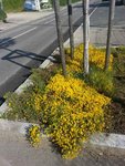 20160527_180038.jpeg