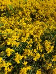 20160527_180048.jpeg