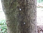 DSCF2414.jpg