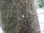 DSCF2415.jpg
