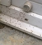 WP_20160509_003.jpg