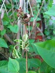 IMG_7134.jpg