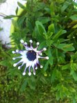 IMG_8722.jpeg