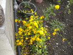 DSCN6675.JPG
