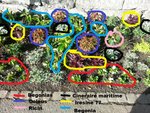 plate-bande_thoune_21_mai_2016_01.jpg