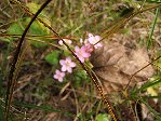 DSCF0496.JPG