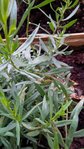 IMG_20160522_184755.jpg