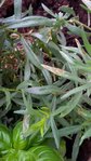 IMG_20160522_184809.jpg
