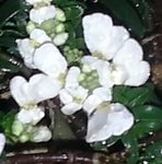 20160107-144229.jpg