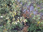20160602_201659.jpg