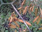 20160602_201745.jpg