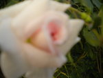 DSCN6912.JPG