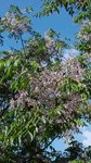 IMG_20160527_085256.jpg