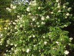 IMG_5754.jpeg