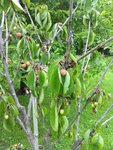 IMG_20160605_140929.jpg