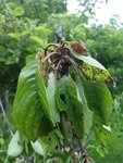 IMG_20160605_140935.jpg