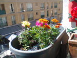 Photo0210.jpg