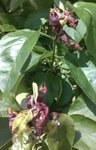 _20160607_181645.JPG