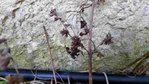 20160427_181157.jpg