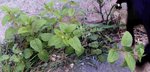 20160427_181225.jpg