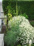 DSCF2290.JPG