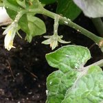 2016-06-12_09.38.01.jpeg