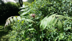 20160611_135532.gif