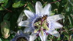DSC00183.JPG