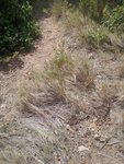 20160611_125515 [640x480].jpg