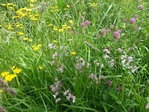 20160528_120037.jpg