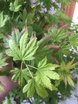 2016-06-14 08.06.37.jpg