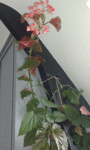 20160614_130825 2.gif