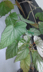 20160614_130835 2.gif