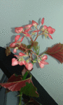 20160614_130840 3.gif
