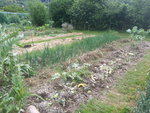 20160614_174513.jpg