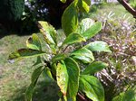 IMG_0275.jpg